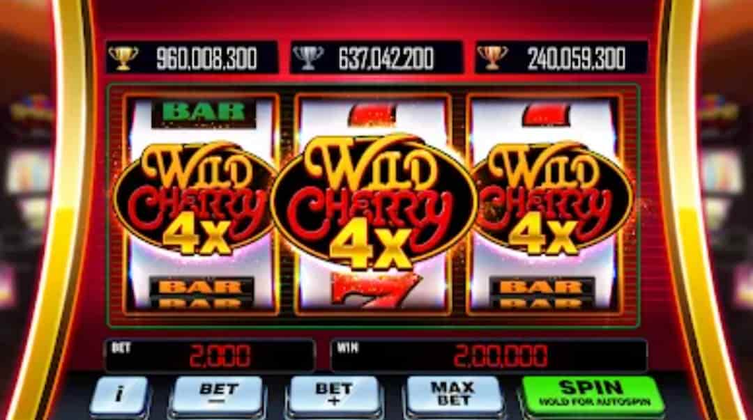 Rich Casino có cả máy đánh bạc trực tuyến cổ điển và video