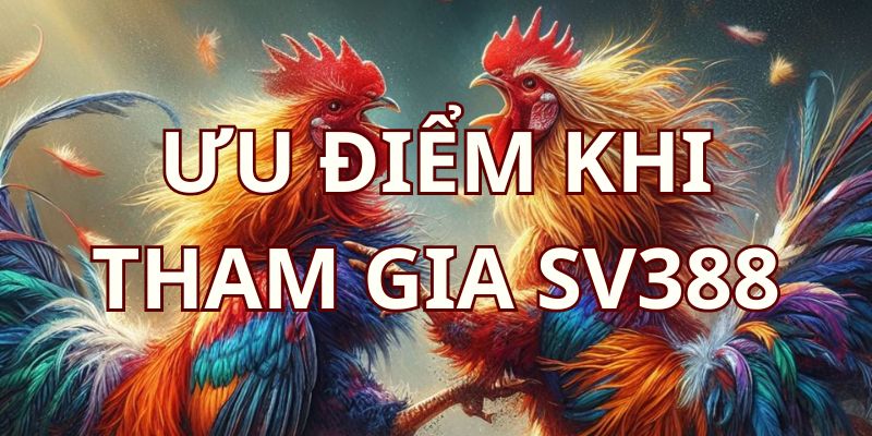 Lý do nên tham gia cá cược tại nhà cái SV388